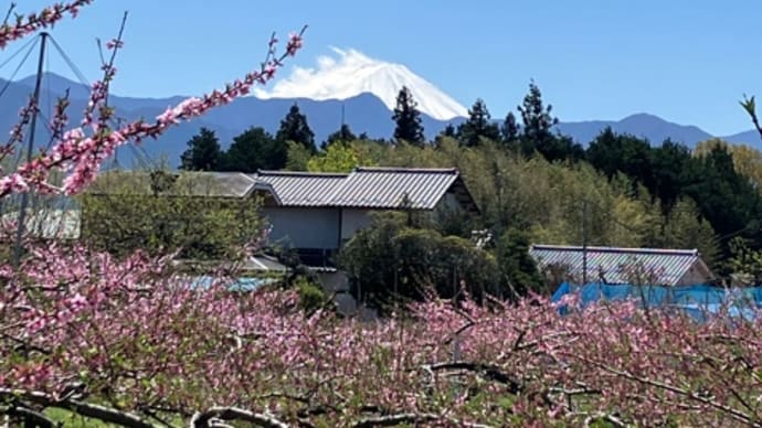 強風に煽られる