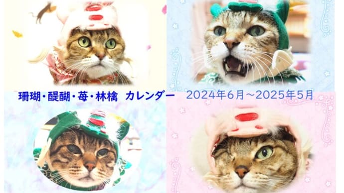 今年も「4にゃんカレンダー」を差し上げます!!