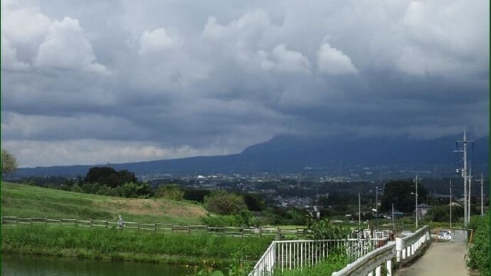 鹿田山フットパス(植物)
