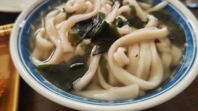 本日のお昼ご飯 本家人力うどんお持ち帰り
