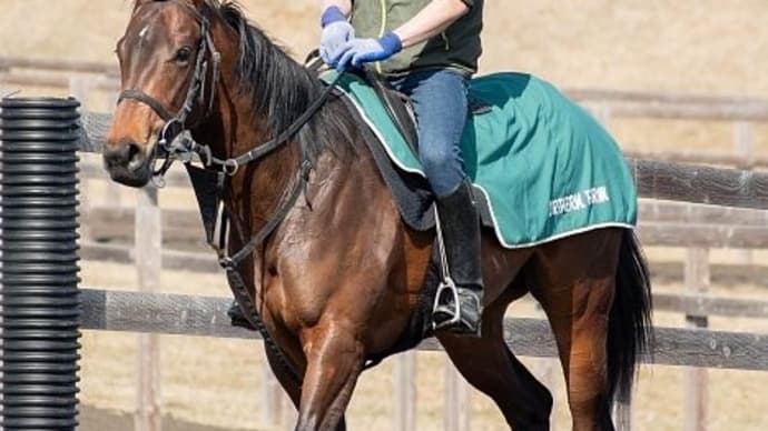久々に2歳馬の話