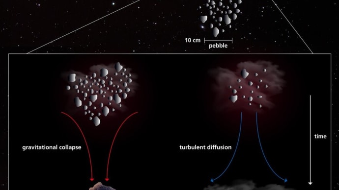 彗星と惑星状天体形成