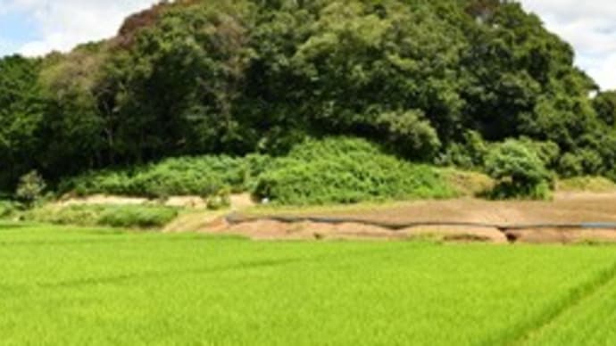 2022年 7月28日 夏です!