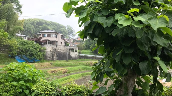 思わぬ雨の日に