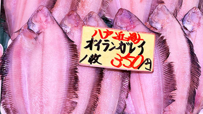 【青森県東部と北海道のさかな大好き談義】
