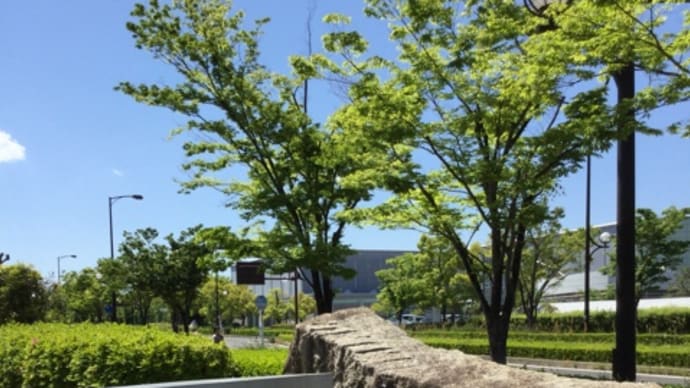 ㊗️hanacafeブログ1週間前は1866位❣️1日訪問者数487uu さて今日は…いつもご訪問有難うございます🙇♀️