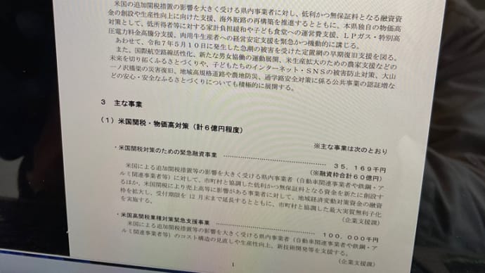 主要事業説明会202505