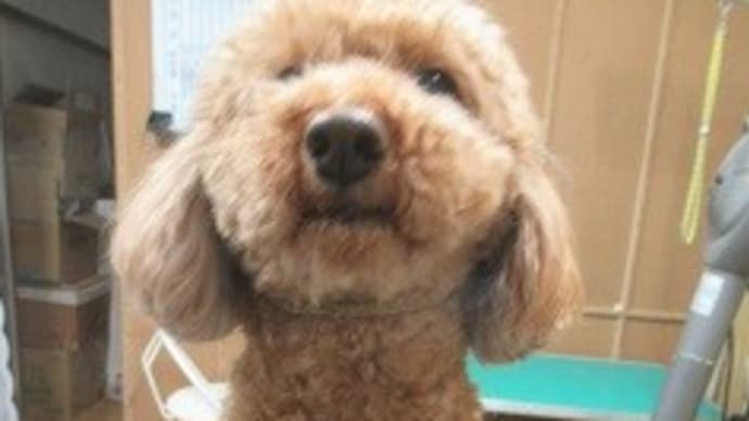 タイトルが思いつかな~い!!
