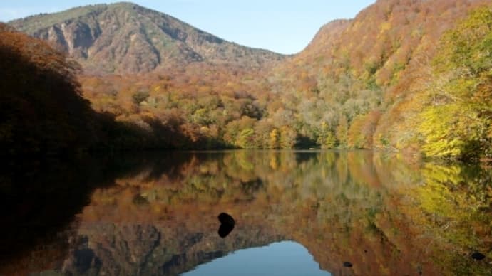 2024年10月18日 南八甲田山麓 赤沼の紅葉