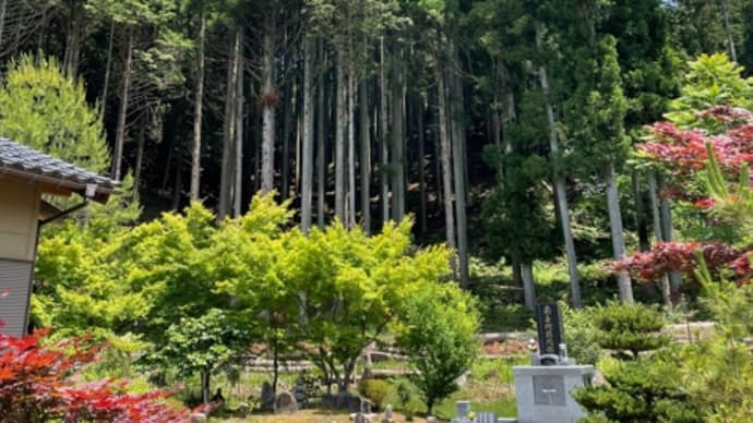 故郷の山は懐かしきかな(その2)