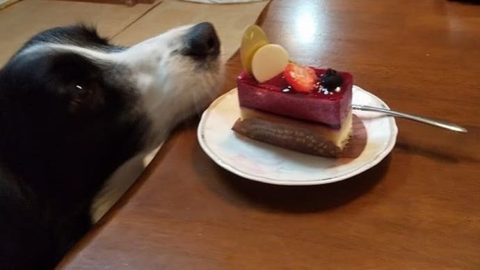 My Birthday