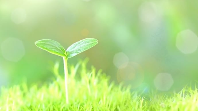 まだまだ乱高下に注意を!そして次なる段階への準備を!