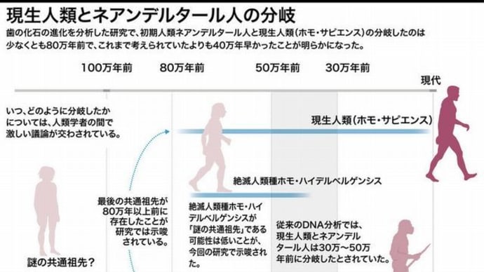 ホモ・サピエンス誕生のシナリオ2