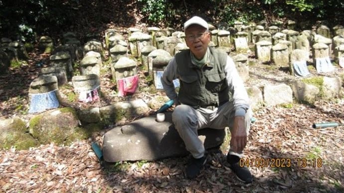 554.80歳の私の生き方(マイ養生訓)