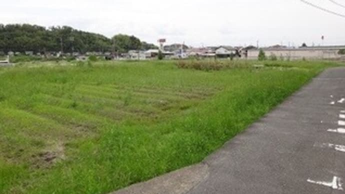太子葬送の道 平野塚古墳へ