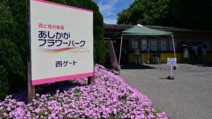 あしかがフラワーパーク~ブルー&ホワイトガーデン~