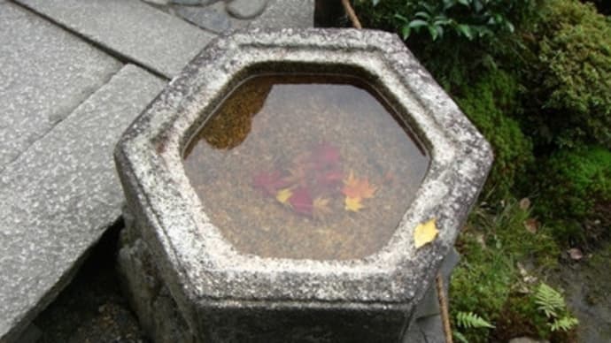 東福寺の紅葉（その２）