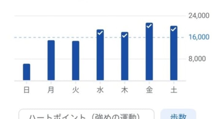 1日1万歩超え