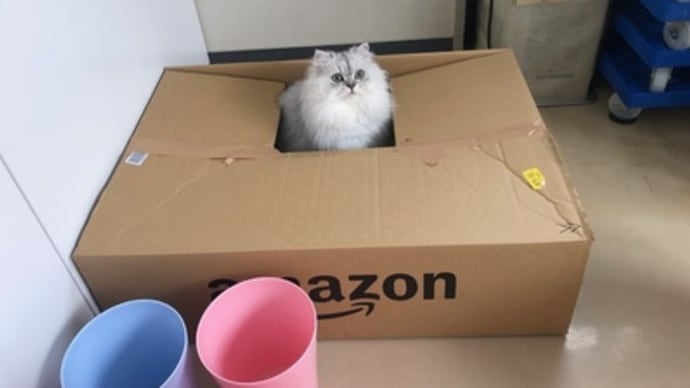 きょうのマルベック