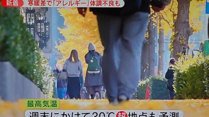 【寒暖差アレルギー】【免疫力】【暖冬】【寒暖差】【血流障害】