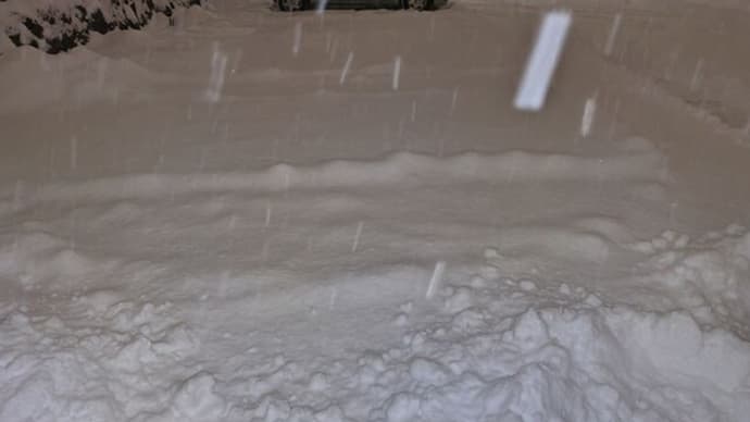 この辺ではこのくらいで大雪です。