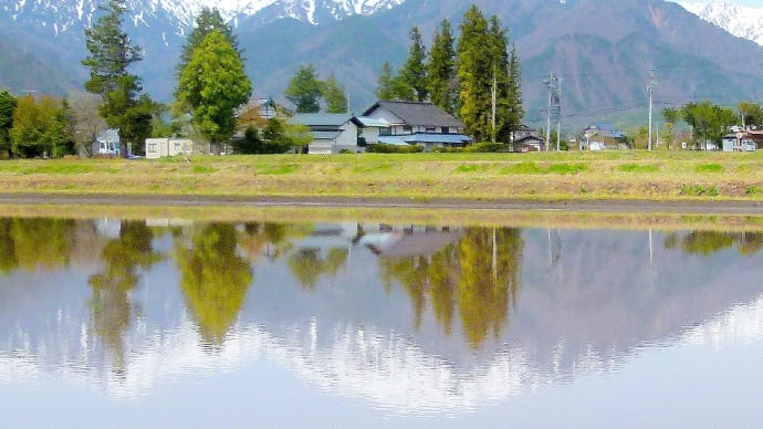 春の安曇野・・・代掻き・・・田植え・・・アルプスの風景