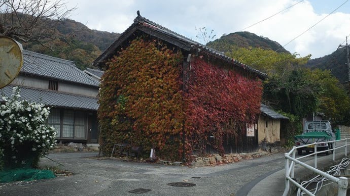 長福寺の銀杏、みはらし食堂へ
