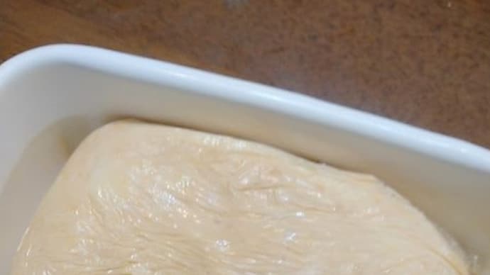 豆腐の酒粕漬け