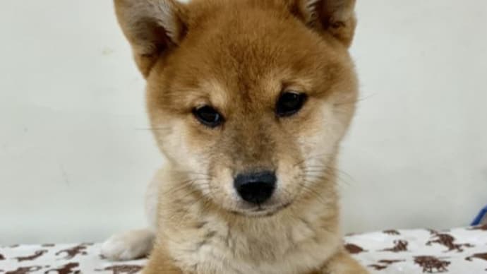 生体・・・・・(^-^;