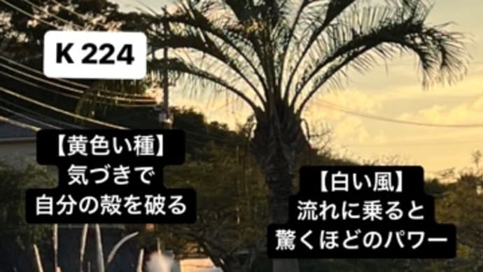 〜マヤ暦 K225 赤い蛇・白い風・音4〜 忙しさを喜ぶ「白い風」の日