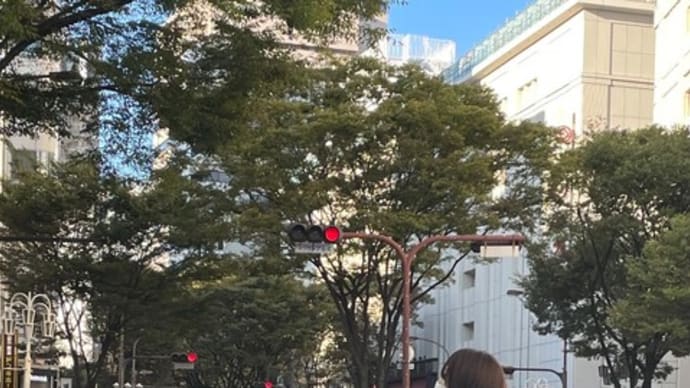 やっと気持ちの良い季節になってきました