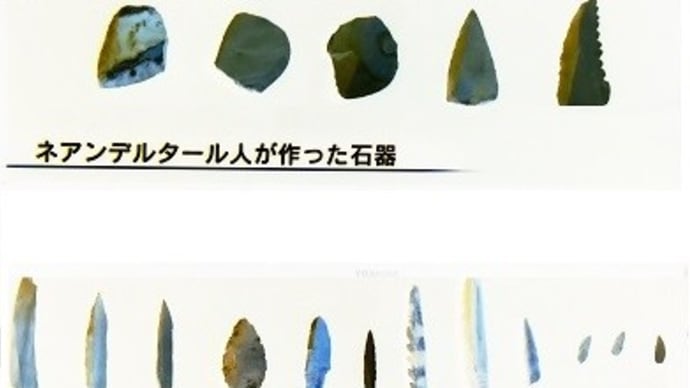 二項対立によって生まれるもの