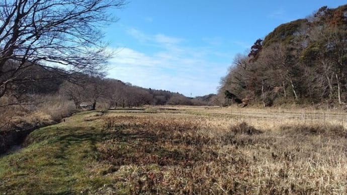 久しぶりの(仮)佐倉西部自然公園にて