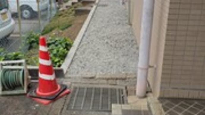歩きやすく👣