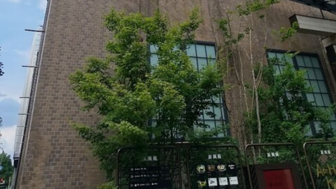 久々のアップリンク京都へ🎥