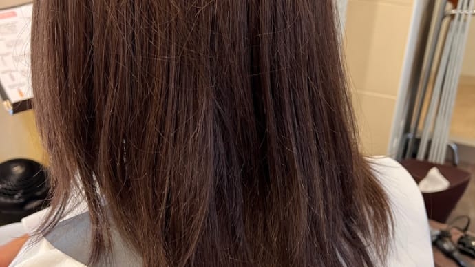髪の毛を育てる医療用ウィッグ