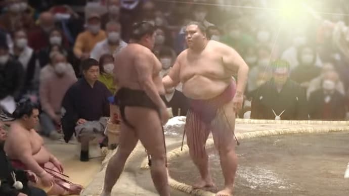 私にはもう、みーたんが輝いて見えるのです。