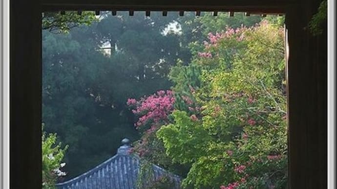 久しぶりの延命寺(2024.09 No.05)