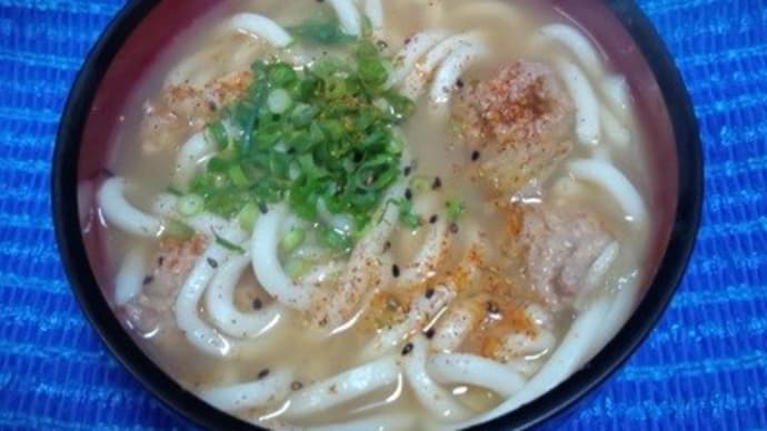 白菜ありた鶏つみれスープうどん、画像が残ってたので:P