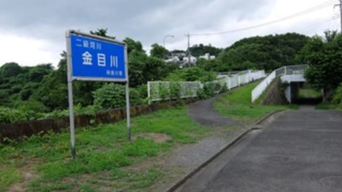 2024神奈川河川ﾎﾟﾀﾘﾝｸﾞ『葛葉川』②『葛葉川』の河口からｻｲｸﾘﾝｸﾞﾛｰﾄﾞの起点へ