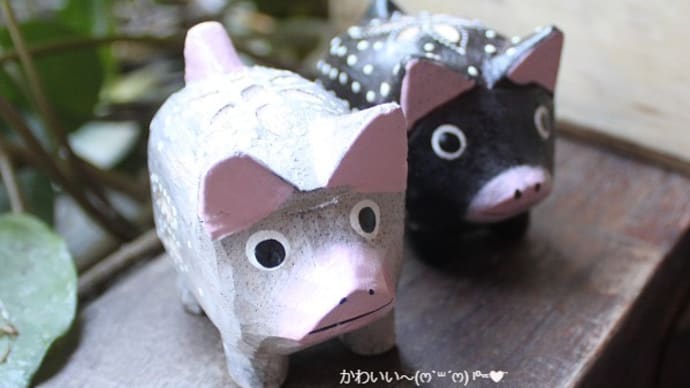 雑貨市場は日曜日もopen☆とんとん拍子に物事が進みますように~☆かわいい豚さん入荷しました(ෆ`꒳´ෆ) ˡºᵛᵉ❤⃛