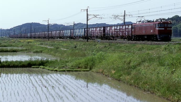 ヤツと話そう・八つ、やっぱり水鏡?