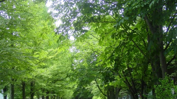 西軽井沢緑の公園「駒場公園散策」