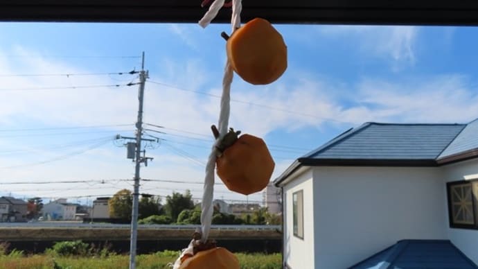 3個だけの吊るし柿