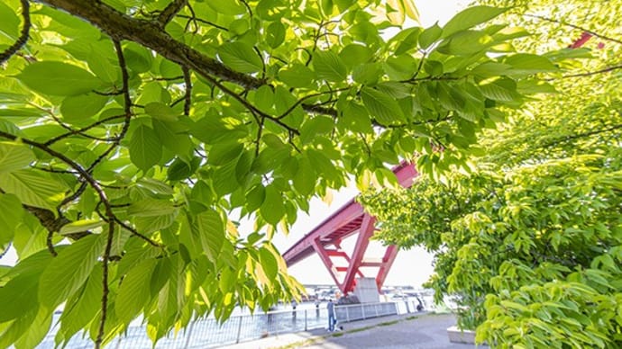 灘浜から新在家運河