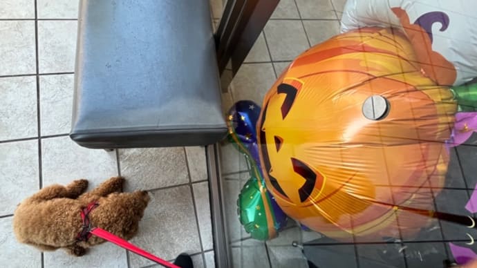 ハロウィンのカボチャが怖い