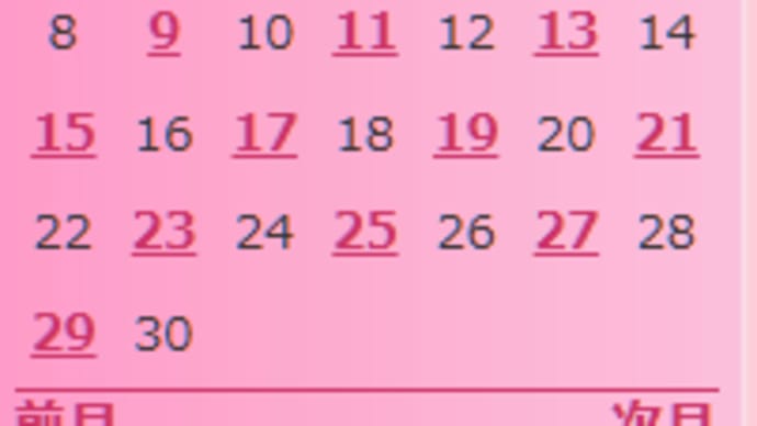 今日から毎日ブログ(選挙期間中) + 情報