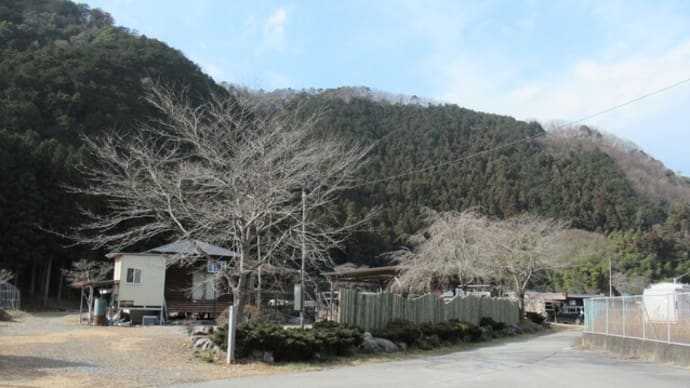 '21.01.16 竹の風除けが完成しました!