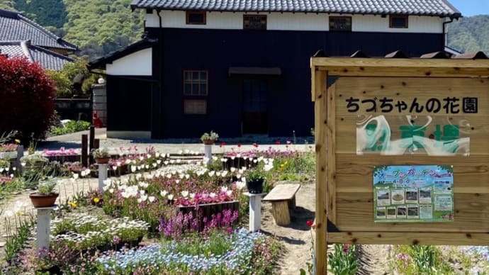 ちづちゃんの花園♪