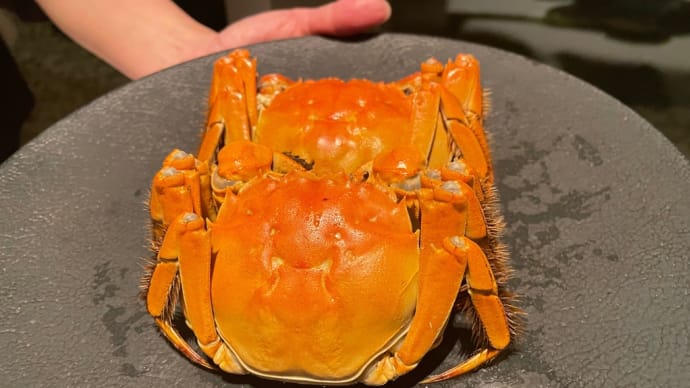 今年も琥珀宮へ✨